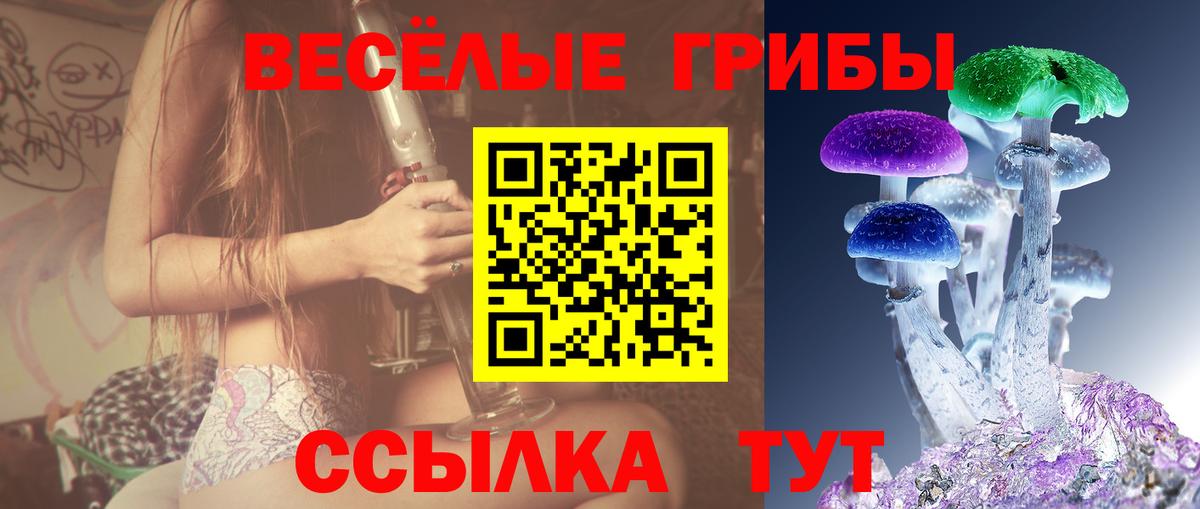 Галлюциногенные грибы Psilocybe  Вход с VPN  где продают   Петропавловск-Камчатский 