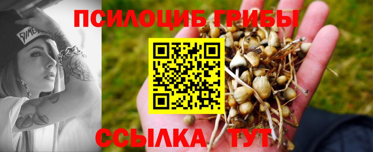 Галлюциногенные грибы Cubensis Петропавловск-Камчатский
